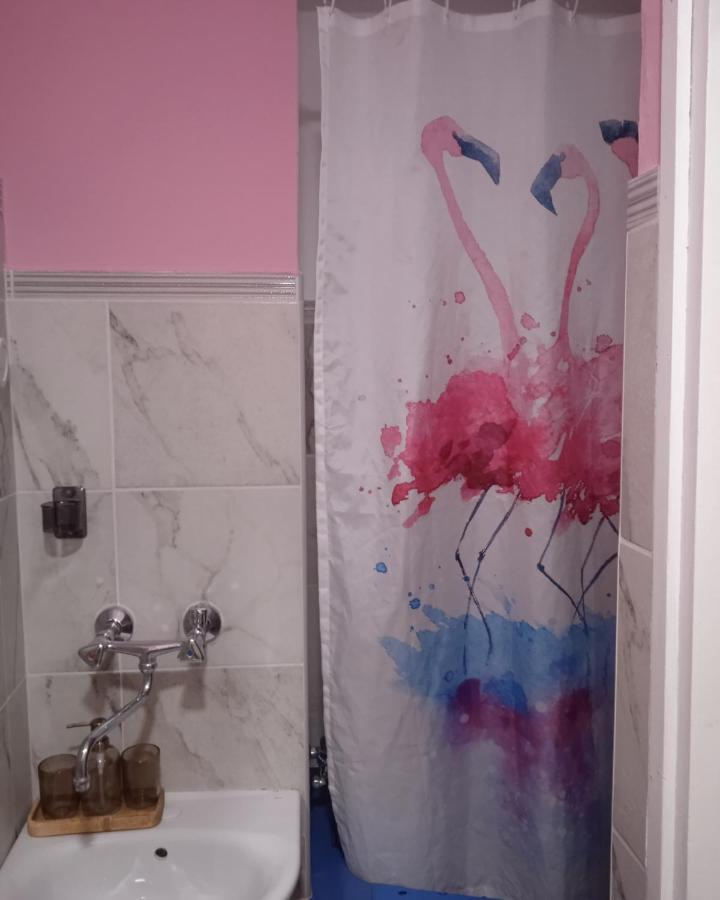 Studio Luna Appartement Karlovac Dış mekan fotoğraf